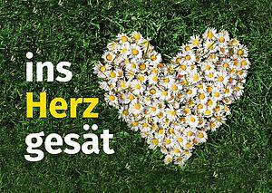 Bistumswallfahrt 2021